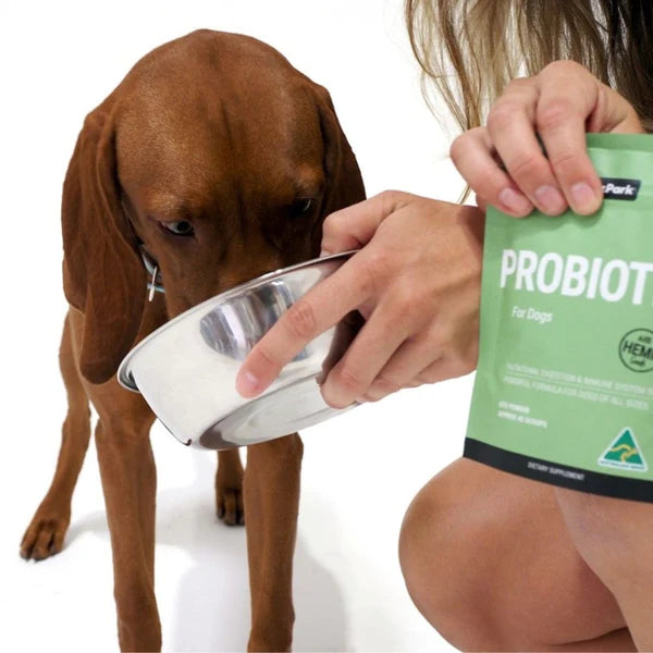 PetzPark Probiotics Supplement for Dogs 75g / 153g