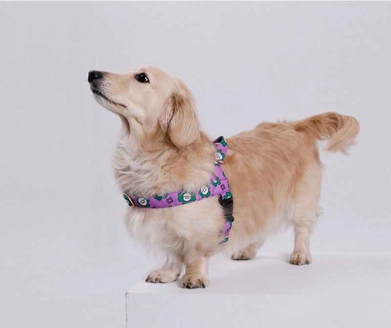 NORADOG Easy Harness - Mr Clover (Purple)