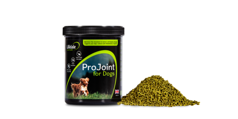 Lillidale's Projoint for Dogs 200g, 500g & 2kg