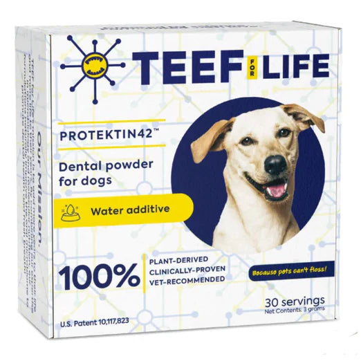 Teef! Protektin42 Prebiotic Dental Powder Dog Water Additive 3g