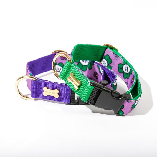 NORADOG Collar - Mr Clover (Purple)